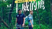 碰然心动