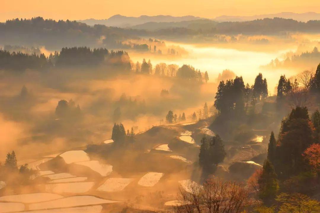 林心如透露林志颖开车习惯：他平时不开快车！她为何对林志颖如此了解？