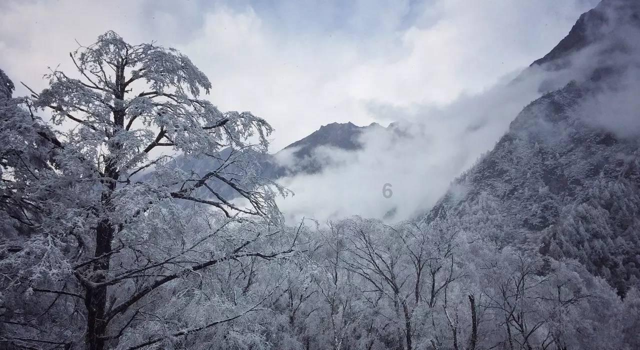传统皇后救援