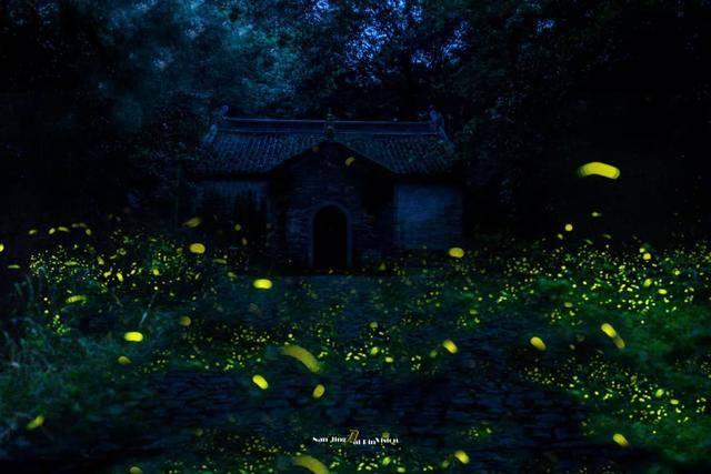 抓住某一事物的特点，描写多种色彩的句子