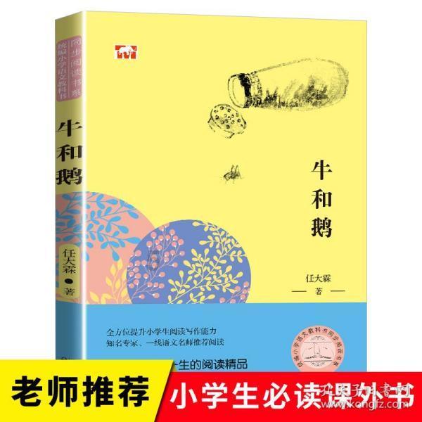 哥特舰队