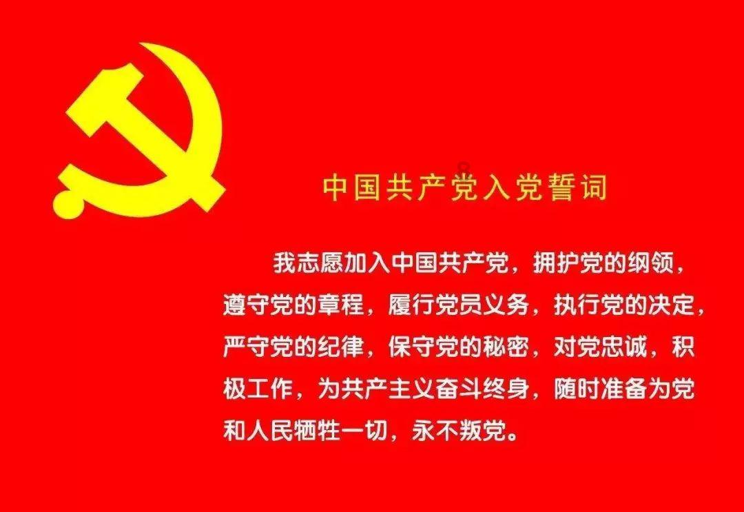 鸟鸣攻击