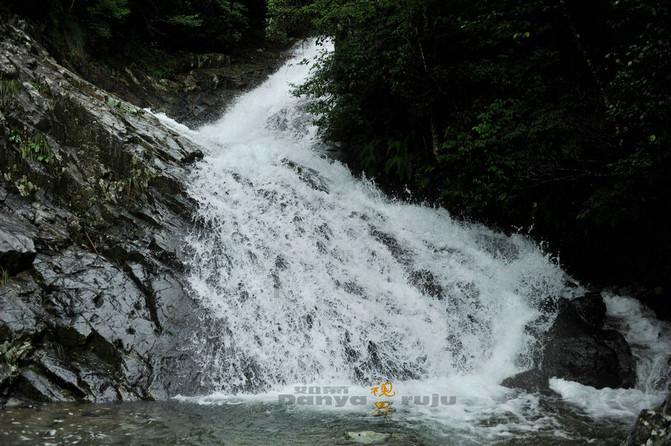 小恐龙来找茬