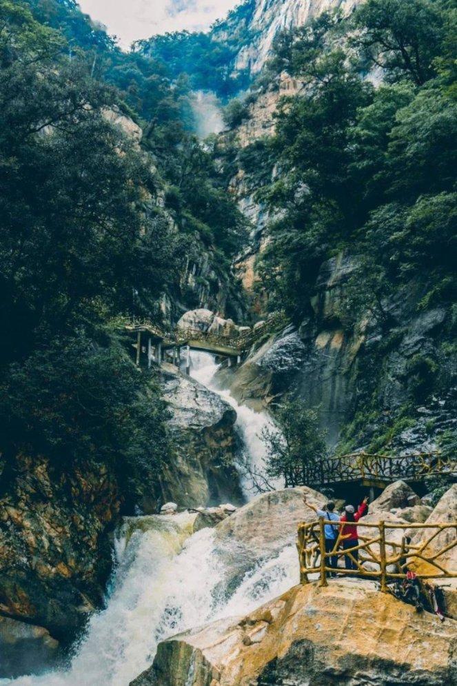拯救可爱小浣熊