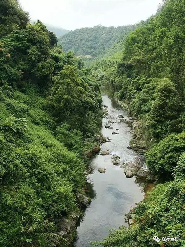 诱捕小浣熊