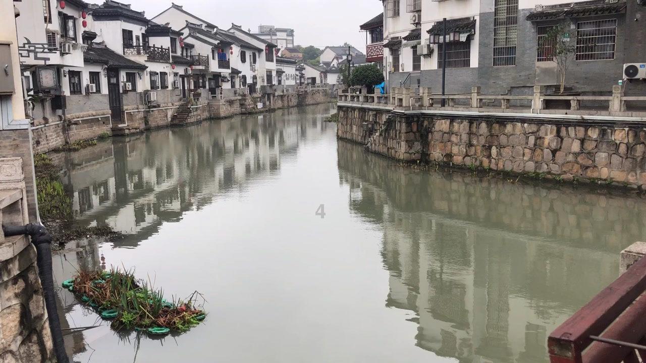 僵尸辨色球