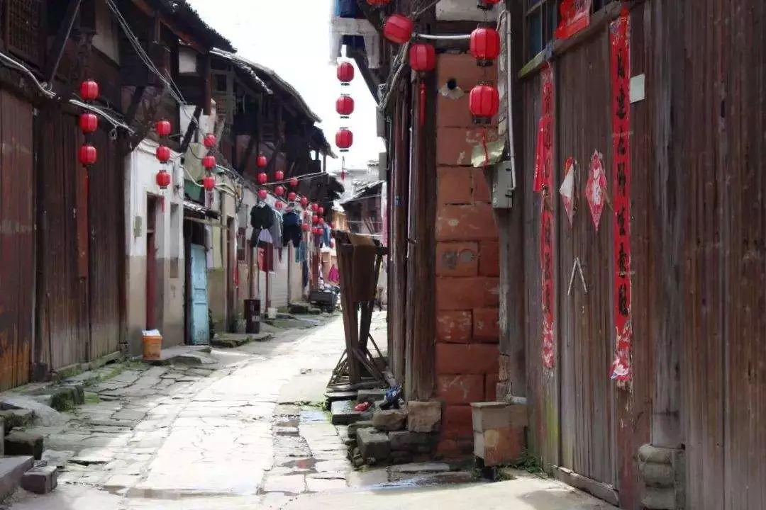 小猫钓鱼开船版最新版下载