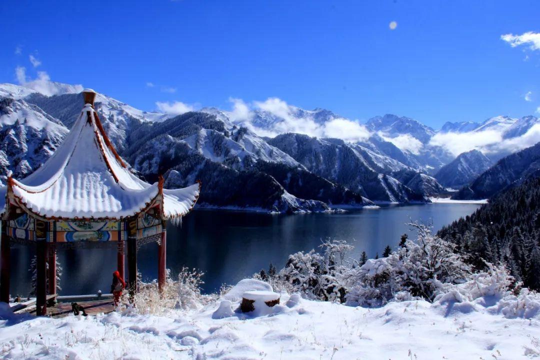 海口市美兰区政协委员崔茂毅:因地制宜发展东寨港红树林观鸟旅游产业